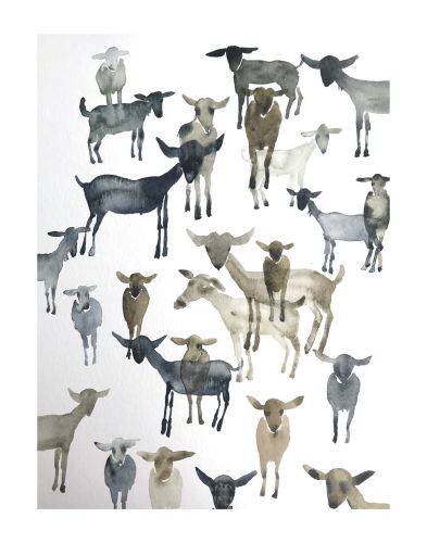 Nynke kuipers, Goats 2 2019