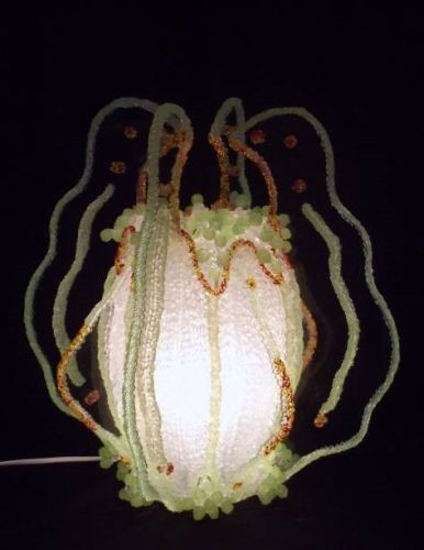 Janine schimkat, Hormophora lamp 2010