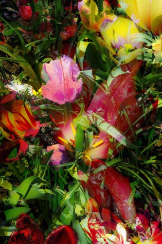 Margot van de stolpe, Wild flowers 1