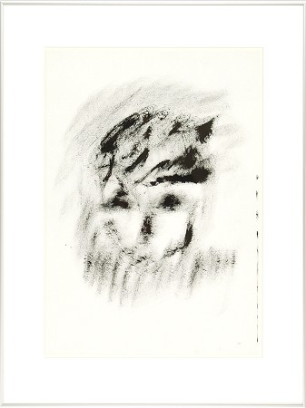 Oxydiaen roest crollius b, Portret 1997