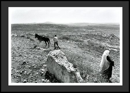 Daniel koning, Palestijnse boer 1987